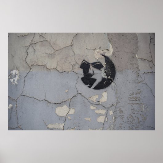 Splitter aus schwarzem und weißem Stein Poster (Vorne)