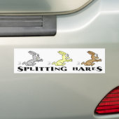Splitting Hares-Autoaufkleber Autoaufkleber (Auf Auto)