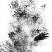 Splotches Wood Art Briefmarke Gummistempel