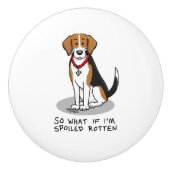 Spoiled Rotten Beagle (Trikolon 3) Hund Funny Keramikknauf (Vorderseite)