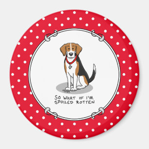 Spoiled Rotten Beagle (Trikolon 3) Hund Funny Magnet
