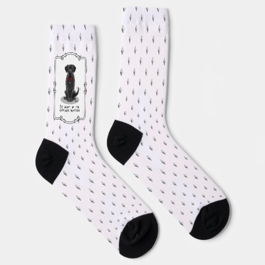 Spoiled Rotten Black Lab Labrador Retriever Dog Socken (Rechts)