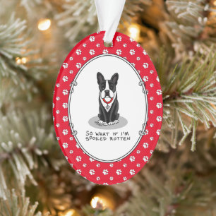 Spoiled Rotten Boston Terrier (Niedlicher Hund) Ornament
