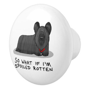 Spoiled Rotten Skye Terrier Dog (schwarz) Niedlich Keramikknauf