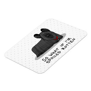 Spoiled Rotten Skye Terrier Dog (schwarz) Niedlich Magnet