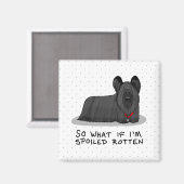 Spoiled Rotten Skye Terrier Dog (schwarz) Niedlich Magnet (Vorderseite/Rückseite)