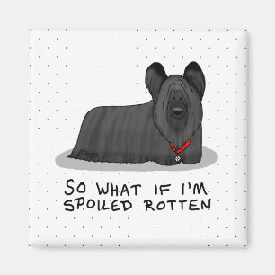 Spoiled Rotten Skye Terrier Dog (schwarz) Niedlich Magnet