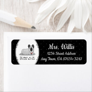 Spoiled Rotten Skye Terrier Dog (silber) Niedliche