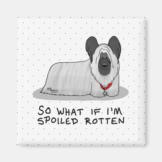 Spoiled Rotten Skye Terrier Dog (silber) Niedliche Magnet (Vorne)