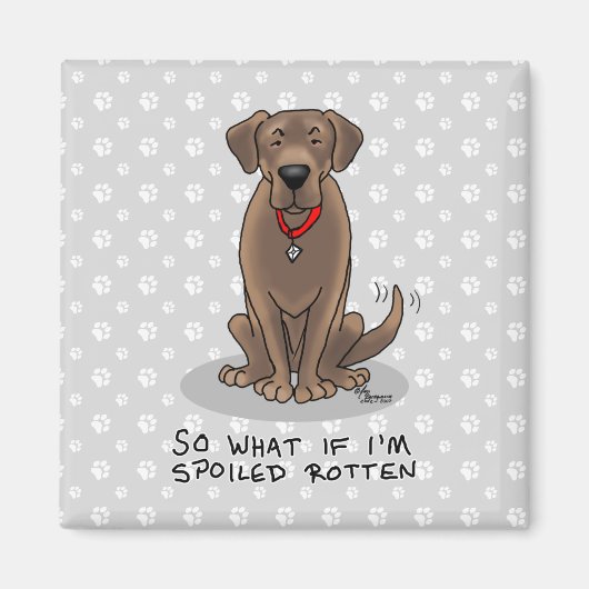 Spoiled Rottenschokolade Labrador Labrador Retriev Magnet (Vorne)
