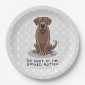 Spoiled Rottenschokolade Labrador Labrador Retriev Pappteller (Vorderseite)