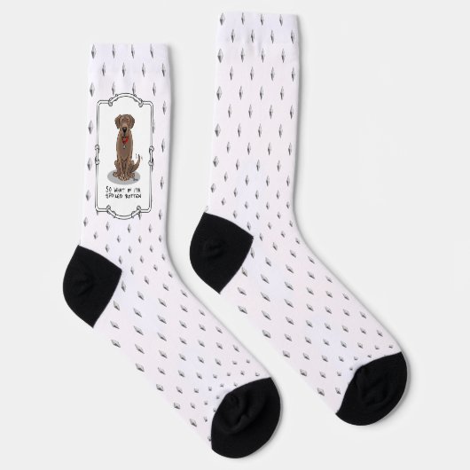 Spoiled Rottenschokolade Labrador Labrador Retriev Socken (Rechts)