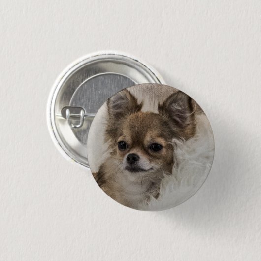 Spoilt Chihuahua Relaxen Button (Vorne & Hinten)