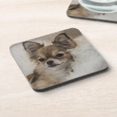 Spoilt Chihuahua Relaxen Getränkeuntersetzer (Linke Seite)