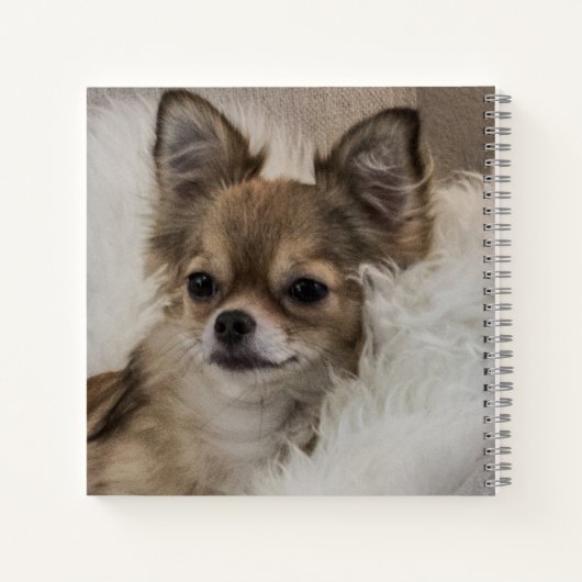 Spoilt Chihuahua Relaxen Notizblock (Rückseite)