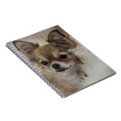 Spoilt Chihuahua Relaxen Notizblock (Rechte Seite)