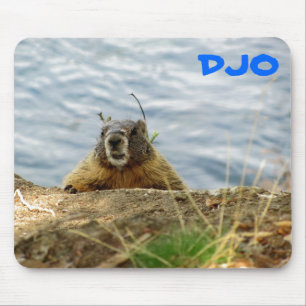 Spokane Marmot says, "Sup? Keule?" Mousepad