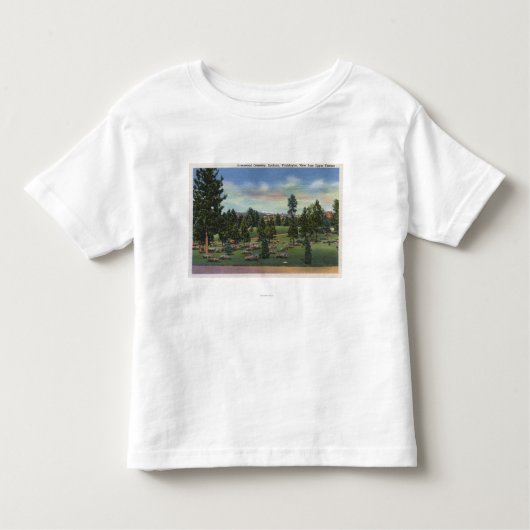 Spokane, Washington - obere Terrasse Kleinkind T-shirt (Vorderseite)