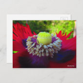 Spontaneität Postkarte (Vorne/Hinten)