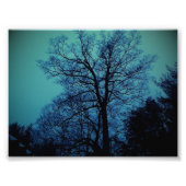 Spook Tree Print Fotodruck (Vorne)