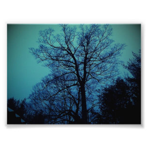 Spook Tree Print Fotodruck