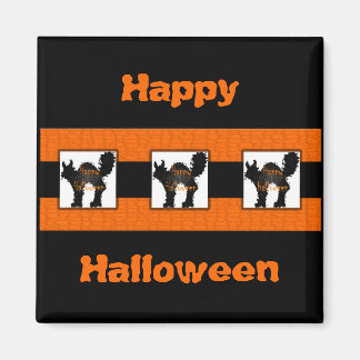 Spooked Magnet