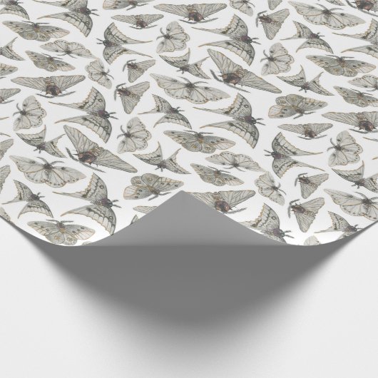 Spookes Vintages Moth Pattern Geschenkpapier (Ecke)