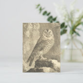 Spookokes Vintages Halloween Tawny Owl Postkarte (Stehend Vorderseite)