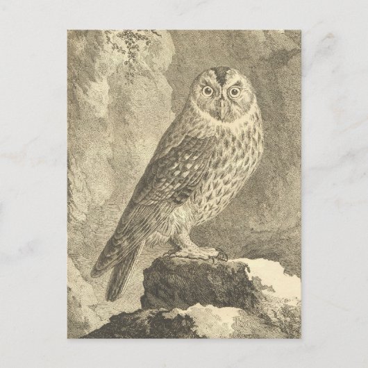 Spookokes Vintages Halloween Tawny Owl Postkarte (Vorderseite)