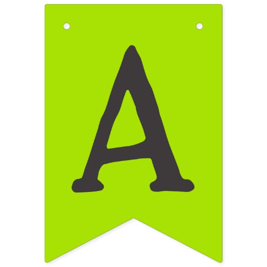 Spooktacular Birthday Bash Wimpelkette (Dritte Fahne)