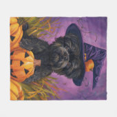Spooky Affenpinscher Halloween Hexe und Pumpkin Fleecedecke (Vorderseite (Horizontal))