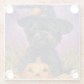 Spooky Affenpinscher Halloween Hexe und Pumpkin Glasuntersetzer (Rückseite)
