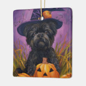 Spooky Affenpinscher Halloween Hexe und Pumpkin Keramikornament (Links)
