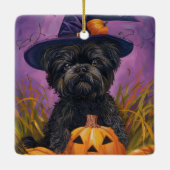 Spooky Affenpinscher Halloween Hexe und Pumpkin Keramikornament (Rückseite)