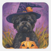 Spooky Affenpinscher Halloween Hexe und Pumpkin Quadratischer Aufkleber (Vorderseite)