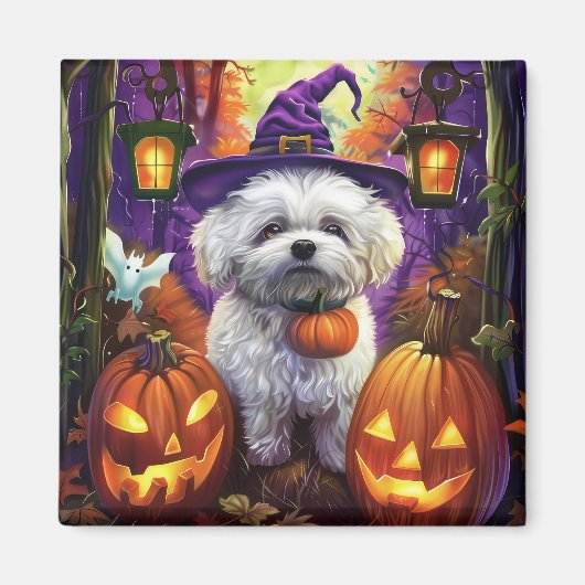 Spooky Bichon Frise Halloween Hexe und Pumpkin Magnet (Vorne)