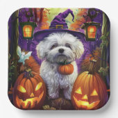 Spooky Bichon Frise Halloween Hexe und Pumpkin Pappteller (Vorderseite)