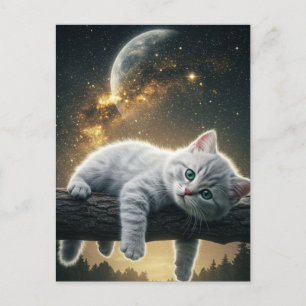 Spooky Black Cat Halloween Wallpaper - 2025 Nacht! Feiertagspostkarte