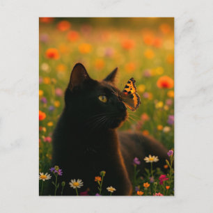Spooky Black Cat Halloween Wallpaper - 2025 Nacht! Feiertagspostkarte