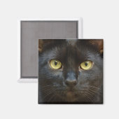 Spooky Black Cat Magnet (Vorderseite/Rückseite)