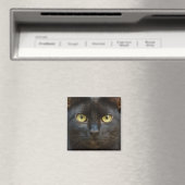 Spooky Black Cat Magnet (In Situ (Geschirrspüler))