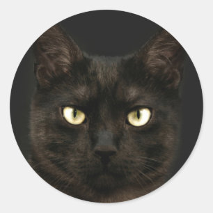 Spooky Black Cat Runder Aufkleber