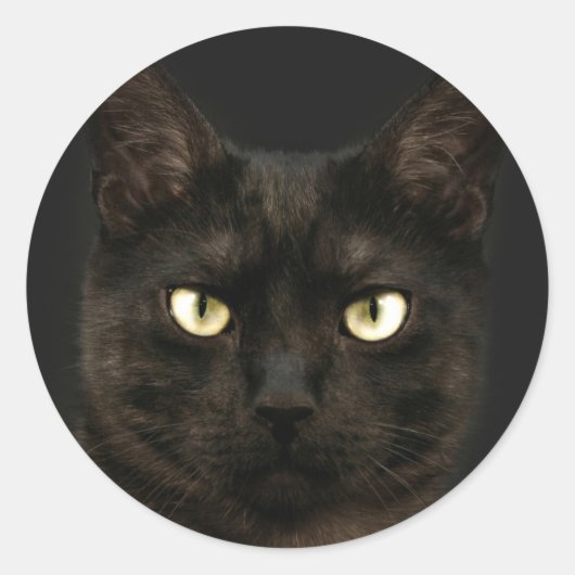 Spooky Black Cat Runder Aufkleber (Vorderseite)