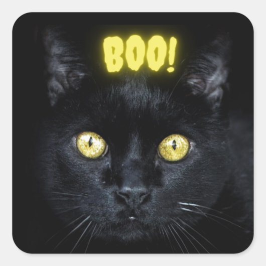 Spooky Boo Black Cat Halloween Quadratischer Aufkleber (Vorderseite)