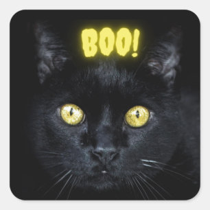 Spooky Boo Black Cat Halloween Quadratischer Aufkleber