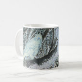 Spooky Buzzard auf der Tasse Zweig (Vorderseite Links)