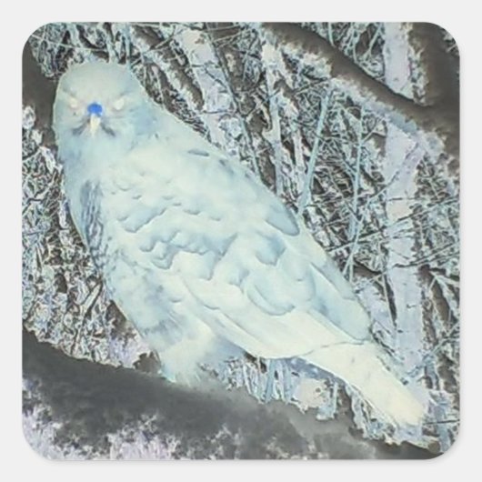 Spooky Buzzard auf Zweig Quadratischer Aufkleber (Vorderseite)