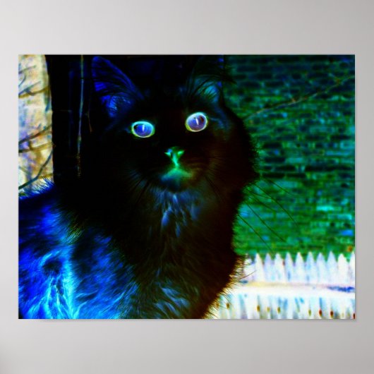 Spooky Cat Poster (Vorne)