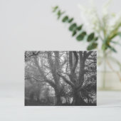 Spooky Forest Black and White Fotografy Postkarte (Stehend Vorderseite)