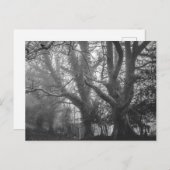 Spooky Forest Black and White Fotografy Postkarte (Vorne/Hinten)